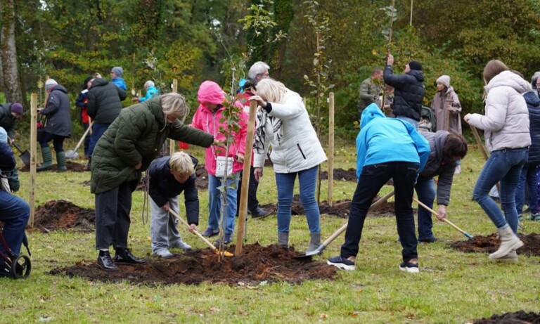 50 neue Bäume zum 50-jährigen Jubiläum des VVV Nordhorn