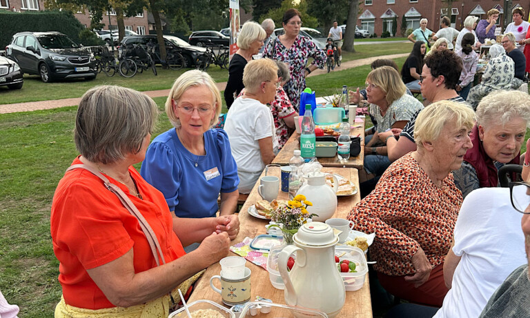 Gemeinschaftspicknick in Geeste bringt rund 300 Menschen zusammen